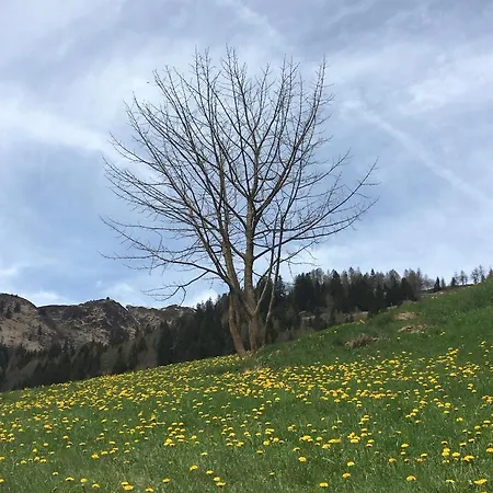 Gottardo Bed and breakfast *