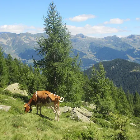 Gottardo Frühstückspension