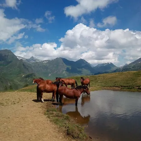 Frühstückspension Gottardo *