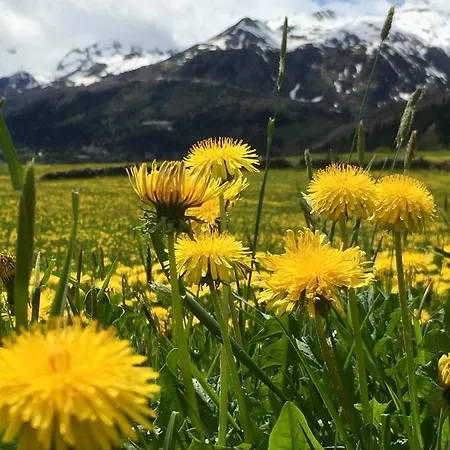 Frühstückspension Gottardo *
